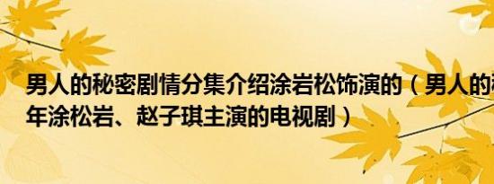 男人的秘密剧情分集介绍涂岩松饰演的（男人的秘密 2014年涂松岩、赵子琪主演的电视剧）