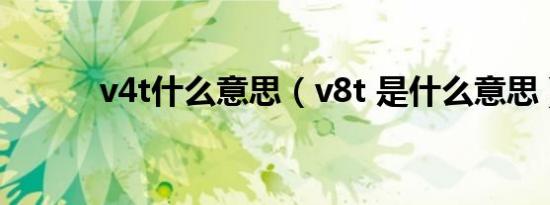 v4t什么意思（v8t 是什么意思）