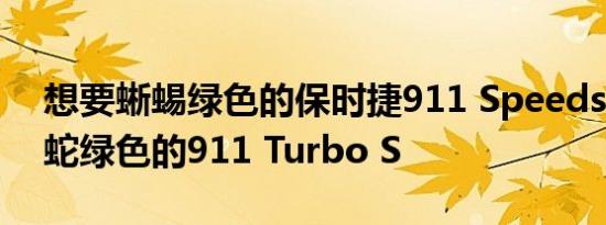 想要蜥蜴绿色的保时捷911 Speedster或毒蛇绿色的911 Turbo S