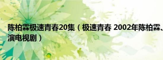 陈柏霖极速青春20集（极速青春 2002年陈柏霖、柯有伦主演电视剧）