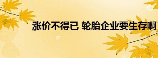 涨价不得已 轮胎企业要生存啊