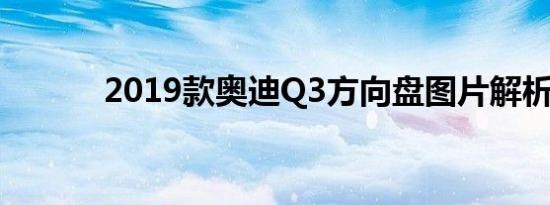 2019款奥迪Q3方向盘图片解析