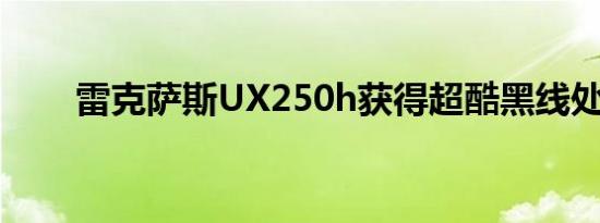 雷克萨斯UX250h获得超酷黑线处理