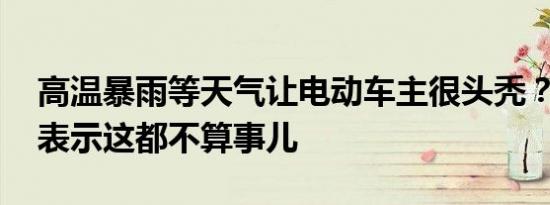 高温暴雨等天气让电动车主很头秃？欧拉R1表示这都不算事儿