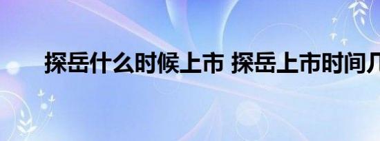 探岳什么时候上市 探岳上市时间几月