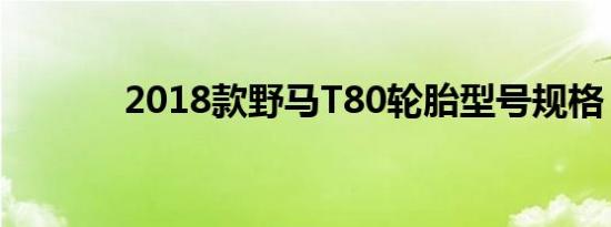 2018款野马T80轮胎型号规格