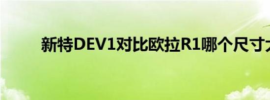 新特DEV1对比欧拉R1哪个尺寸大