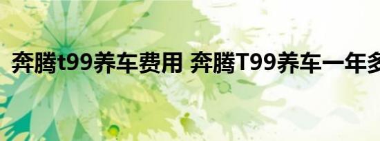 奔腾t99养车费用 奔腾T99养车一年多少钱 