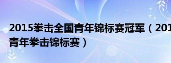 2015拳击全国青年锦标赛冠军（2014年世界青年拳击锦标赛）