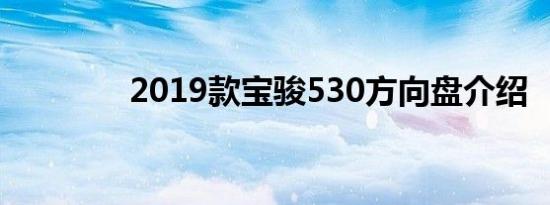 2019款宝骏530方向盘介绍