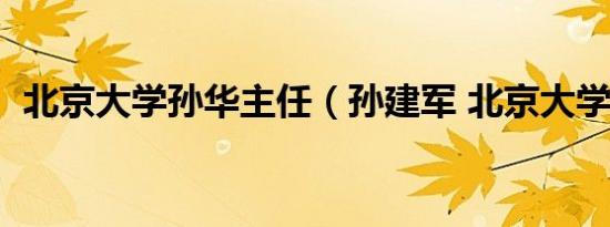 北京大学孙华主任（孙建军 北京大学教授）