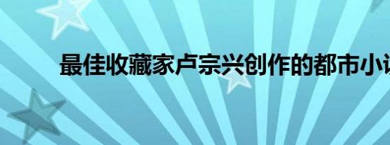 最佳收藏家卢宗兴创作的都市小说