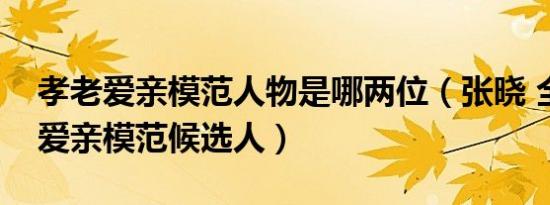 孝老爱亲模范人物是哪两位（张晓 全国孝老爱亲模范候选人）