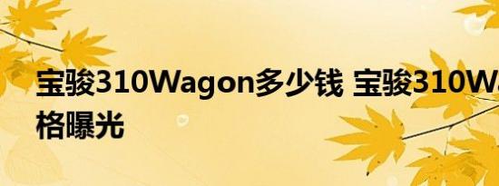 宝骏310Wagon多少钱 宝骏310Wagon价格曝光