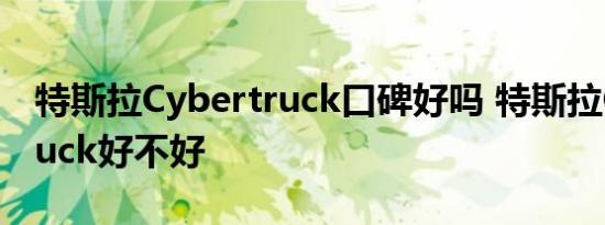 特斯拉Cybertruck口碑好吗 特斯拉Cybertruck好不好 