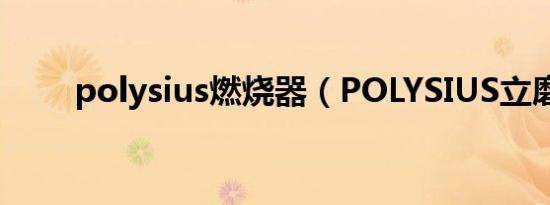 polysius燃烧器（POLYSIUS立磨）