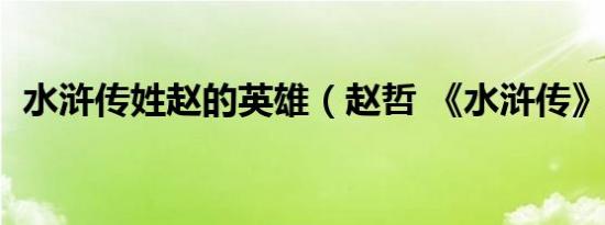 水浒传姓赵的英雄（赵哲 《水浒传》人物）