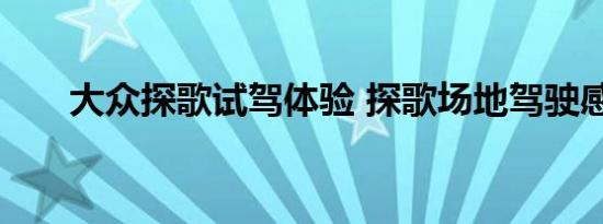 大众探歌试驾体验 探歌场地驾驶感受