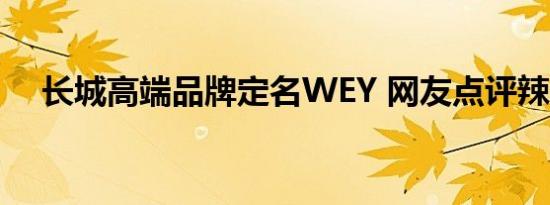 长城高端品牌定名WEY 网友点评辣眼睛