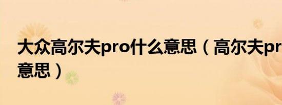 大众高尔夫pro什么意思（高尔夫pro是什么意思）