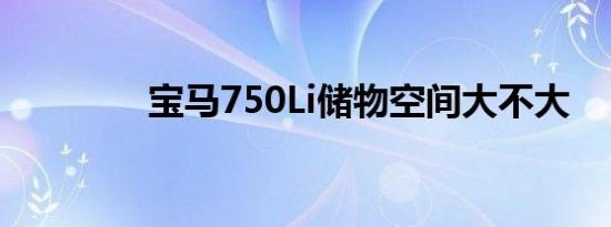 宝马750Li储物空间大不大 