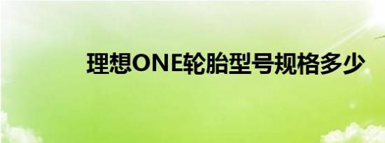 理想ONE轮胎型号规格多少 