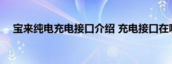 宝来纯电充电接口介绍 充电接口在哪里 