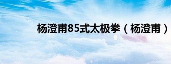 杨澄甫85式太极拳（杨澄甫）