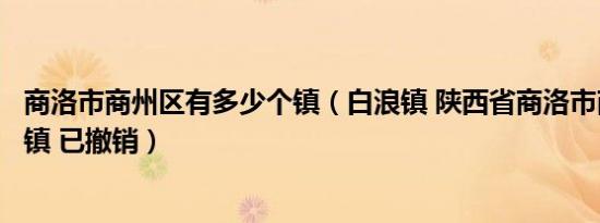 商洛市商州区有多少个镇（白浪镇 陕西省商洛市商南县下辖镇 已撤销）