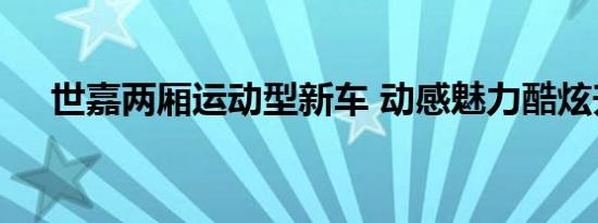 世嘉两厢运动型新车 动感魅力酷炫升级