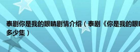 泰剧你是我的眼睛剧情介绍（泰剧《你是我的眼睛》究竟有多少集）