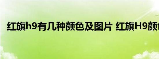 红旗h9有几种颜色及图片 红旗H9颜色有哪些 