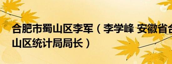 合肥市蜀山区李军（李学峰 安徽省合肥市蜀山区统计局局长）