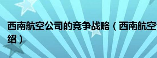 西南航空公司的竞争战略（西南航空公司的介绍）