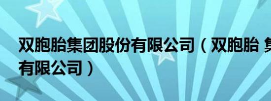 双胞胎集团股份有限公司（双胞胎 集团股份有限公司）