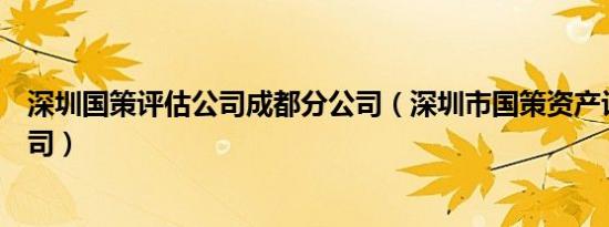 深圳国策评估公司成都分公司（深圳市国策资产评估有限公司）