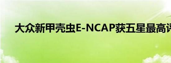 大众新甲壳虫E-NCAP获五星最高评级 