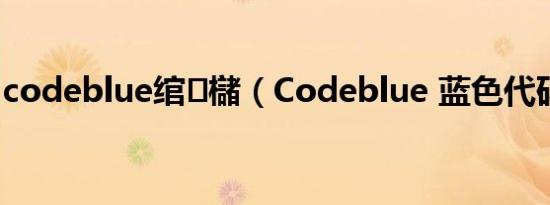 codeblue绾㈢櫧（Codeblue 蓝色代码病毒）