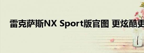 雷克萨斯NX Sport版官图 更炫酷更豪华