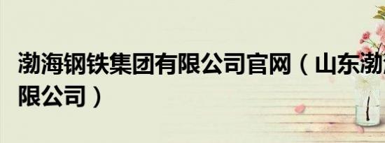 渤海钢铁集团有限公司官网（山东渤海钢铁有限公司）