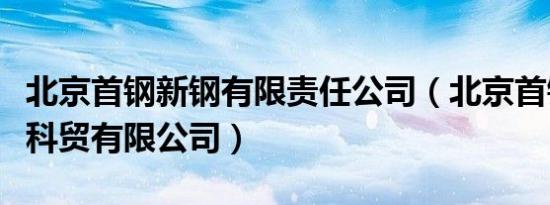 北京首钢新钢有限责任公司（北京首钢新钢联科贸有限公司）