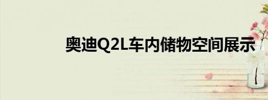 奥迪Q2L车内储物空间展示