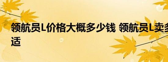 领航员L价格大概多少钱 领航员L卖多少钱合适 