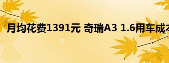 月均花费1391元 奇瑞A3 1.6用车成本调查