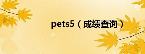 pets5（成绩查询）