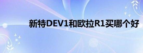 新特DEV1和欧拉R1买哪个好 