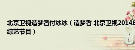 北京卫视造梦者付冰冰（造梦者 北京卫视2014年第四季度综艺节目）