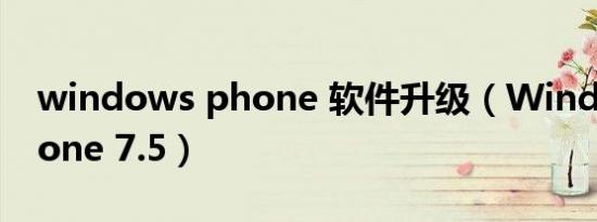 windows phone 软件升级（Windows Phone 7.5）