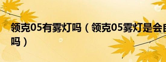 领克05有雾灯吗（领克05雾灯是会自动打开吗）