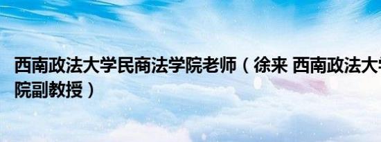 西南政法大学民商法学院老师（徐来 西南政法大学民商法学院副教授）